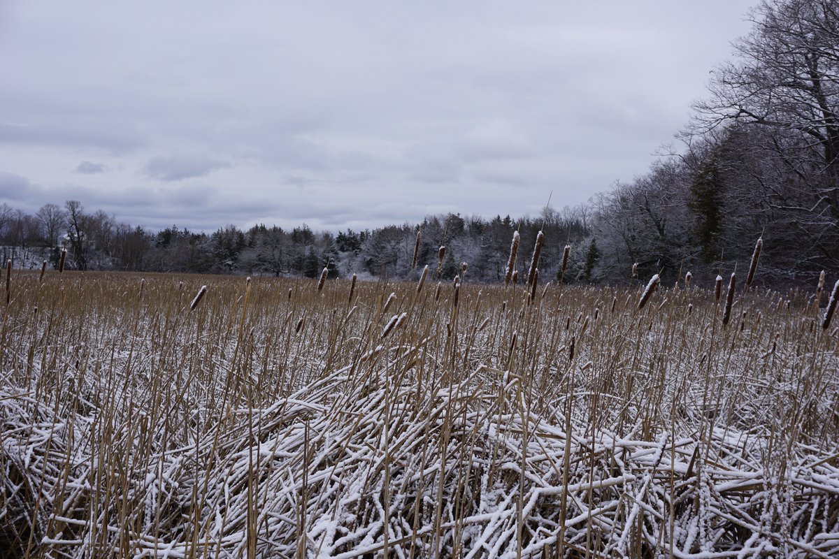 Every farm has different capacity when it comes to storing herbicides and fungicides over the winter. We’ve prepared a reference guide so you know which products can freeze, and which ones require heated storage. Check it out here: bit.ly/3LGpfFk