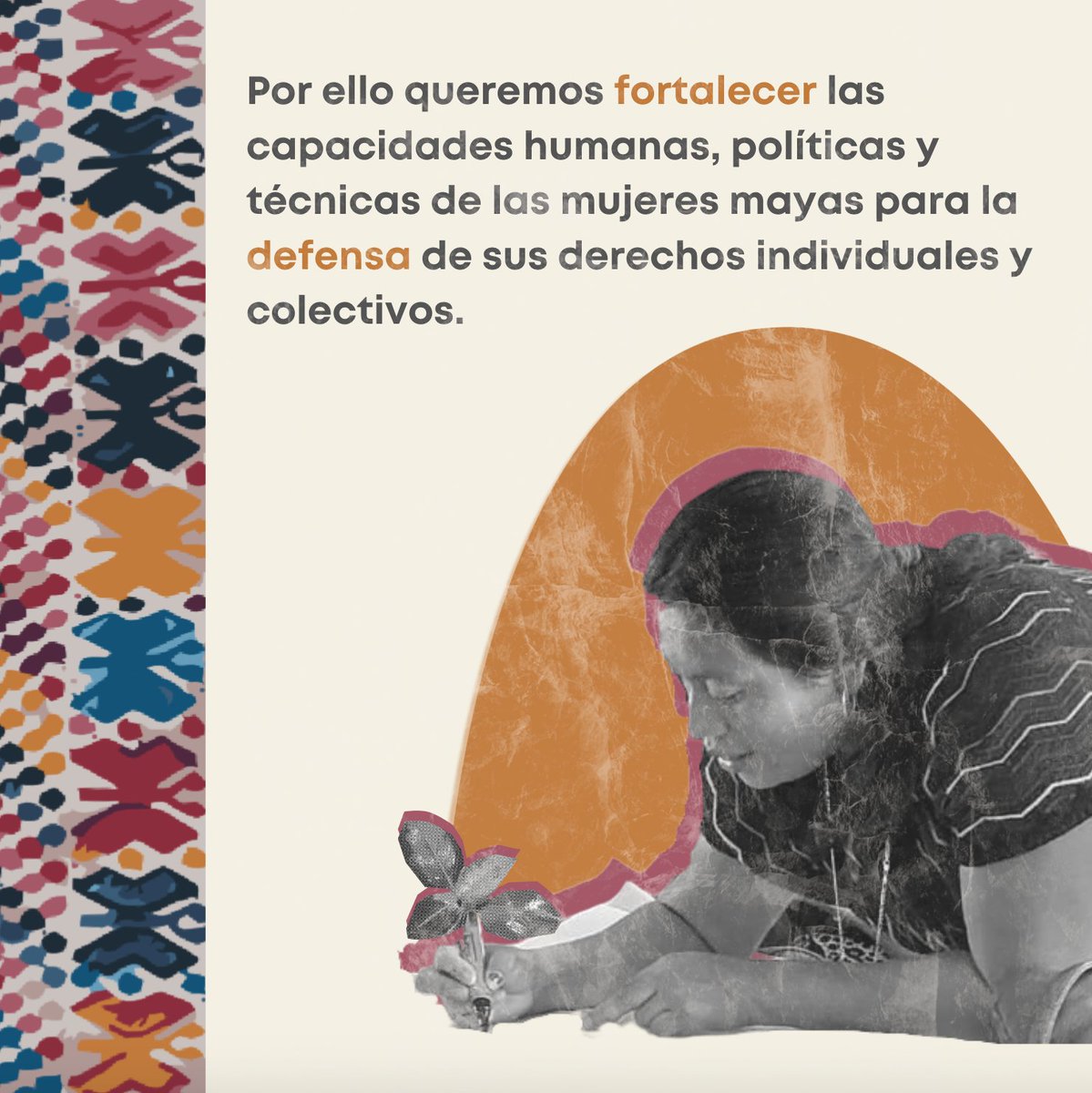 asociacionmoloj's tweet photo. 👩🏻🌲🍃🌊En Moloj apostamos por la formación política de más lideresas para que su participación e incidencia política permita reconocer que defender a la madre naturaleza y el territorio es un derecho individual y colectivo.
#MujeresMayas #DadorasDeVida #SomosDefensoras https://t.co/oEiFmJd9P6
