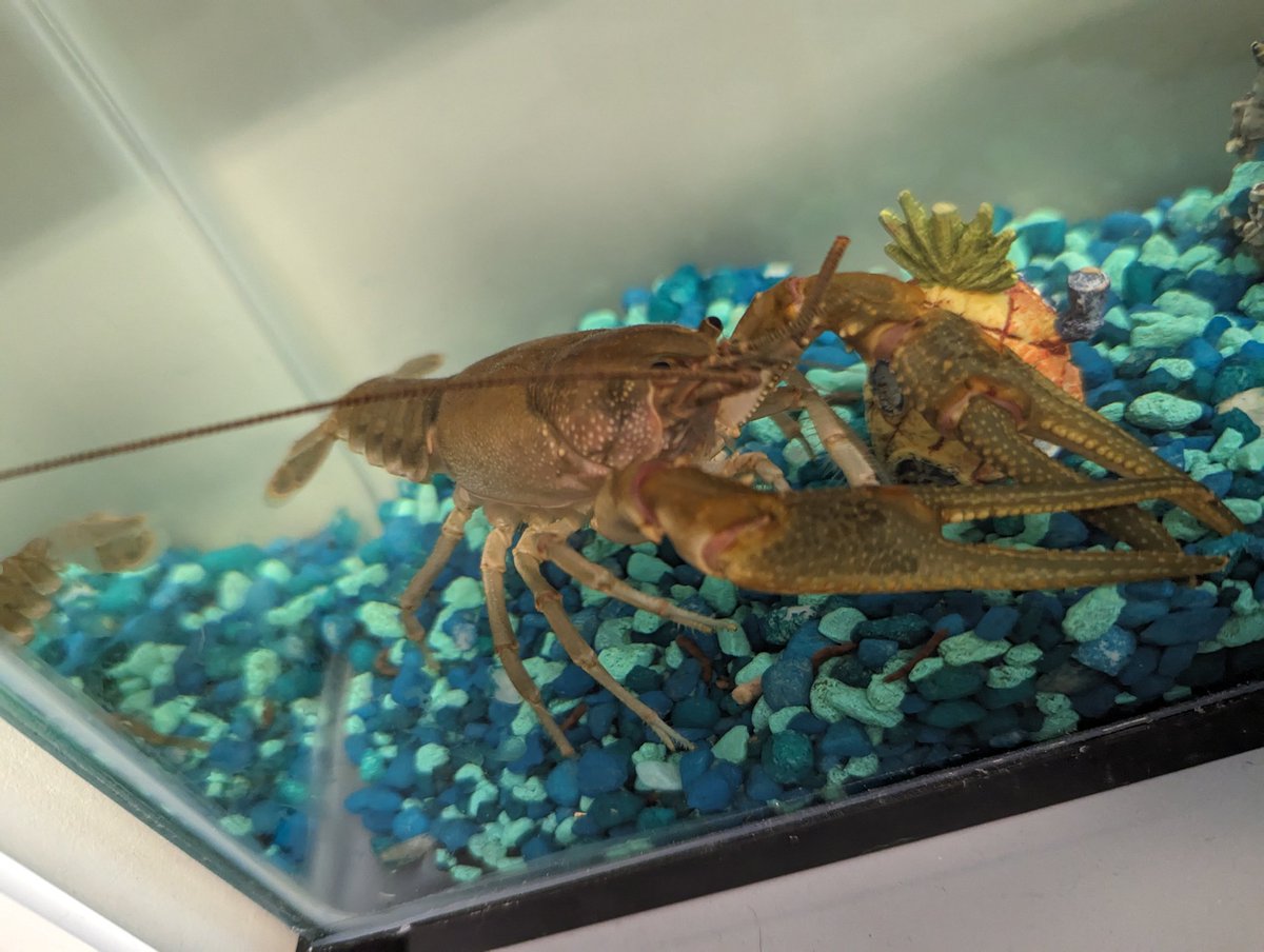 Bill Dew (he/him) tweet media