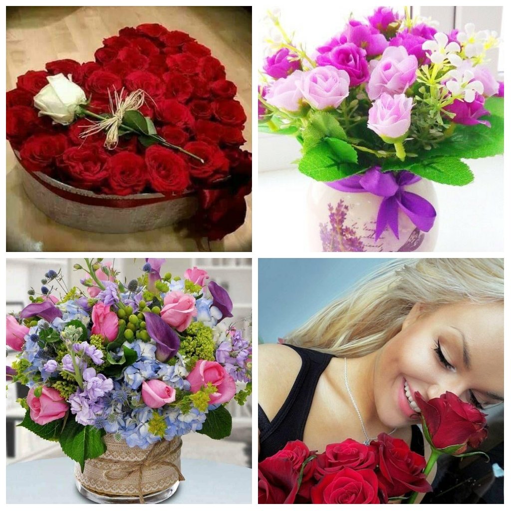 #Bíblia 🌈💘🌻 #TestemunhoDeJesus #evangelho <a href="/Rozane_Costa/">Rozane Santana</a>
"Se os governos hoje quiser governar, governe com # Educação. E não com a #fé das pessoas. ( Rm12,19; Mt 7,12 )" prescrito de forma familiar.
<a href="/RosaMar14112784/">Rosa Mariana</a> <a href="/Jssica55272746/">Jéssica</a> #orvalho  #verseoftheDay