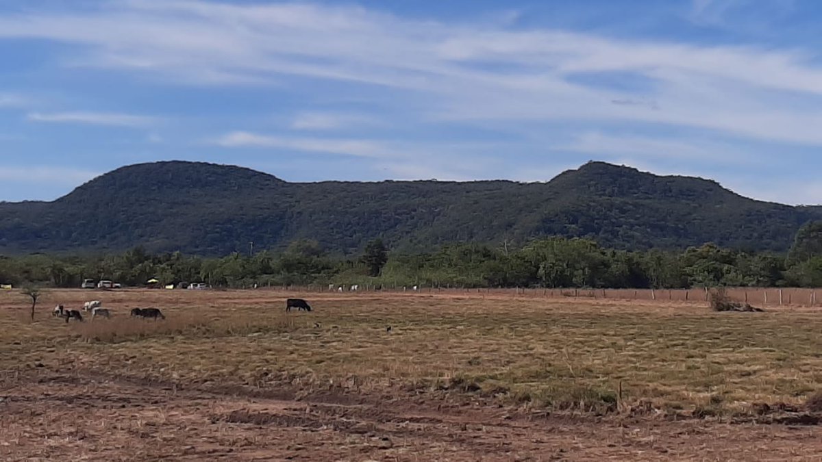 LOTES RECUPERADOS EN OFERTA! Cuotas corridas, sin entrega, sin reajuste. Garantiza Óscar Santos Propiedades
-Pirayú: Cuotas 450 mil
-Zona Guarambaré, con escuela, luz, agua: Cuota 800 mil
-Itá, dos cuadras Ruta 1: Cuota 1.100.000
-WhatsApp: 0982 889 765