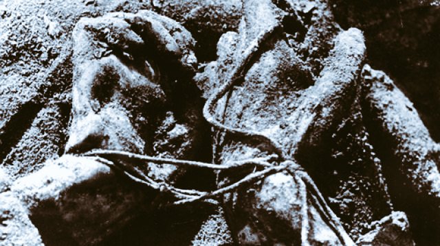 CarlGaso's tweet photo. "Please do not follow in my footsteps, learn from them. Let my past serve you as an example of this abusive world that will bait your ego as it tears at your soul."

Castle Cop: The Greater Region Series

Only on Amazon, link in the bio. 

#war #survival #noir https://t.co/8g6zcmmIqX