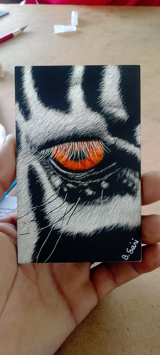 SainiBlessed's tweet image. Scratch board artwork 11.8cm by 7.4cm......thought of sharing this new artwork i learned for @Robynbromham 
#newart #newartwork #scratchboardart #artistoninstagram #artcollector #wildlifeart #safari #visualart #new