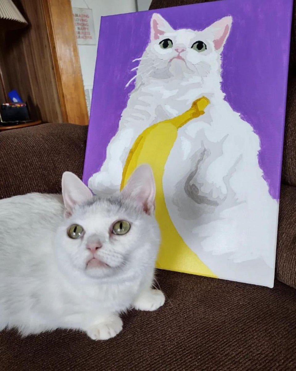 There are 5 days left to register for Paint Your Own Pet at Clutch! 

What you get:
🖼️a custom paint-by-number of your pet
🧑‍🎨the unique opportunity to flex artistically
🍺one Clutch beer to keep the creative juices flowin’ 

Check out the Facebook event for all the deets 🤘