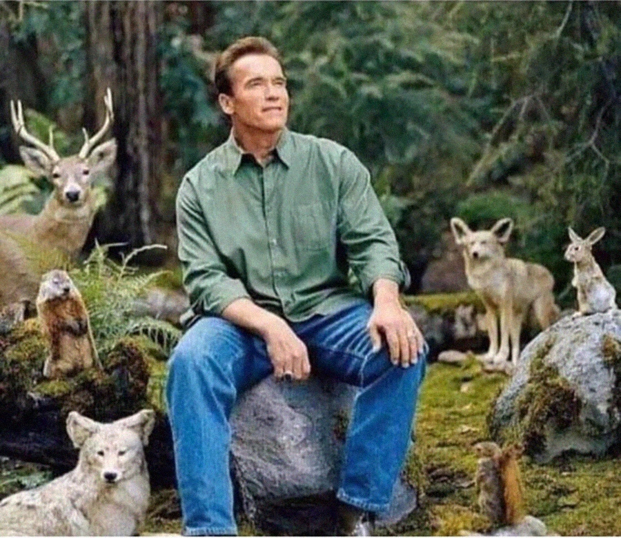 When you meow to a strange cat on the street and it meows back at you.