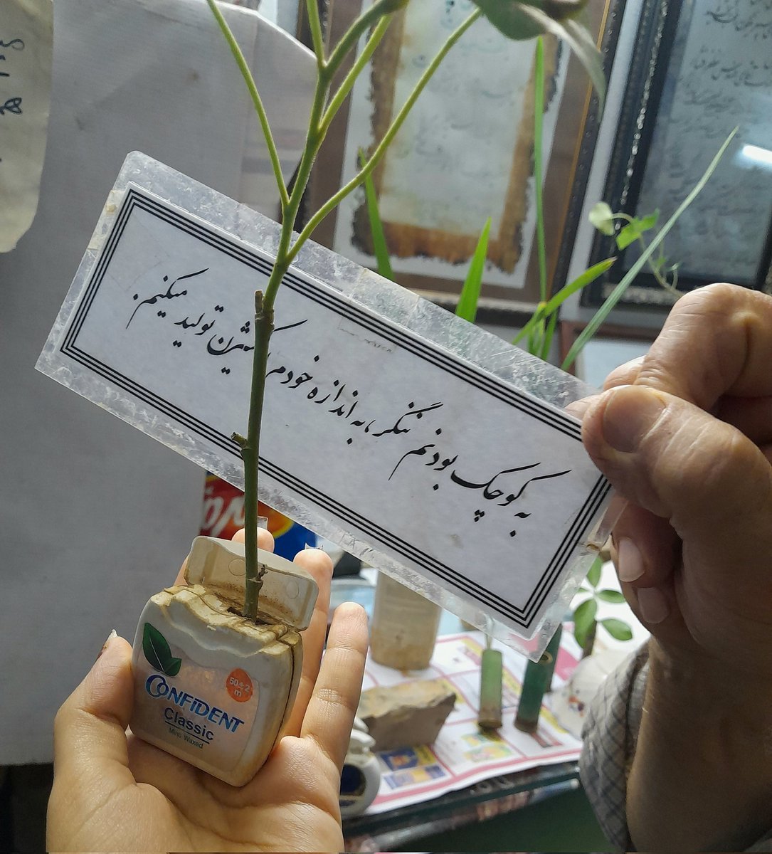 bedewed_sparrow's tweet photo. دیدیم این آقا از هرررچیزی که تونسته گلدون ساخته و بلوط ساخته! داشت همین‌جور هرکدوم از اون‌هارو توضیح می‌داد و ما هر قدمی که برمیداشتیم بیشتر دهنمون باز می‌موند! هرکدوم از این‌ها یه داستانی داشتند یا کنارشون شعار کوچکی نوشته شده بود!🔻 /3 https://t.co/LPAf66gb0s