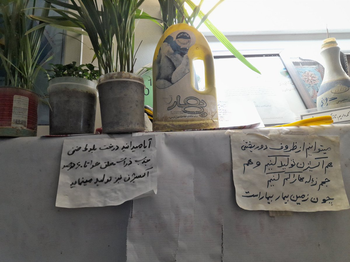 bedewed_sparrow's tweet photo. دیدیم این آقا از هرررچیزی که تونسته گلدون ساخته و بلوط ساخته! داشت همین‌جور هرکدوم از اون‌هارو توضیح می‌داد و ما هر قدمی که برمیداشتیم بیشتر دهنمون باز می‌موند! هرکدوم از این‌ها یه داستانی داشتند یا کنارشون شعار کوچکی نوشته شده بود!🔻 /3 https://t.co/LPAf66gb0s
