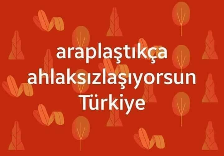 AliDag57978059's tweet photo. https://t.co/XgIKp9SLtH