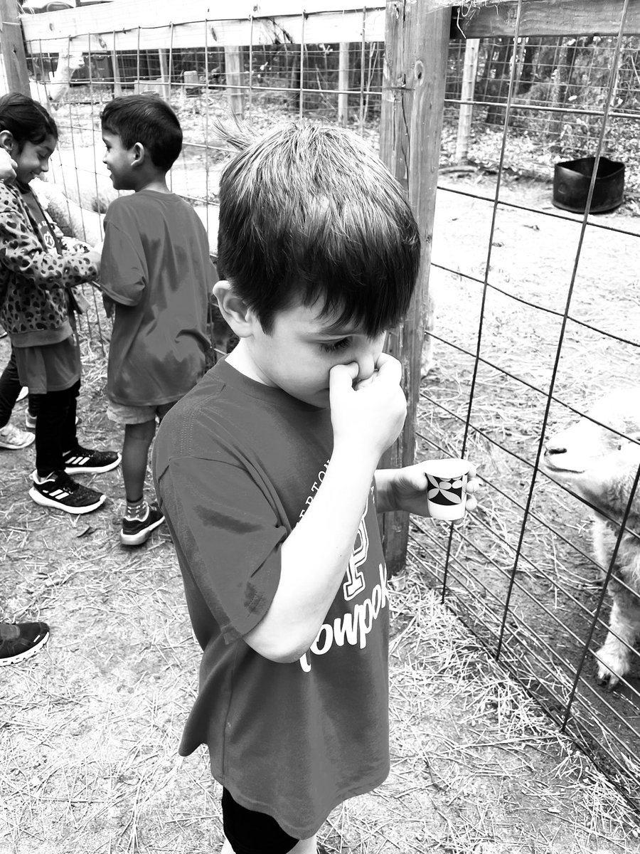 Danielle Denard tweet media