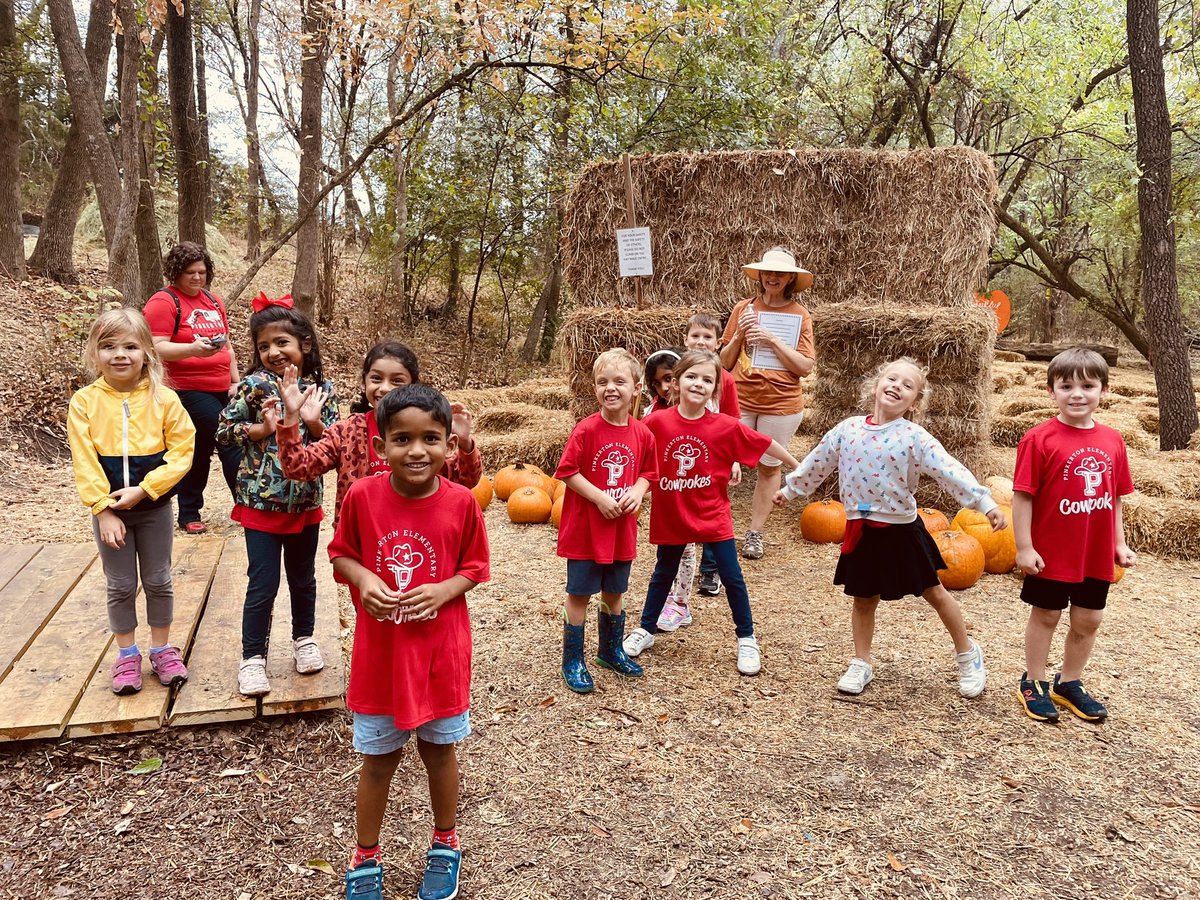 Danielle Denard tweet media