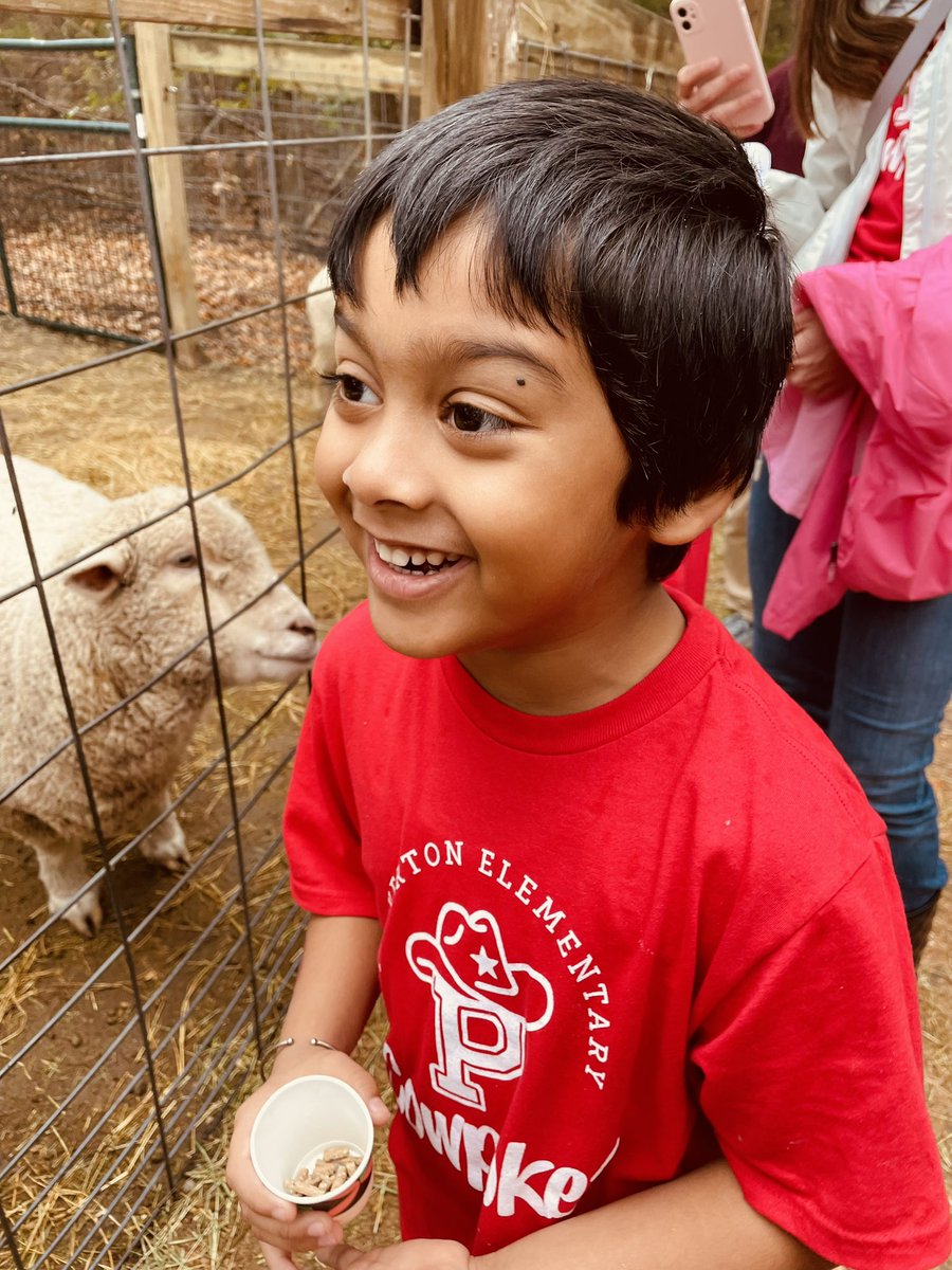 Danielle Denard tweet media