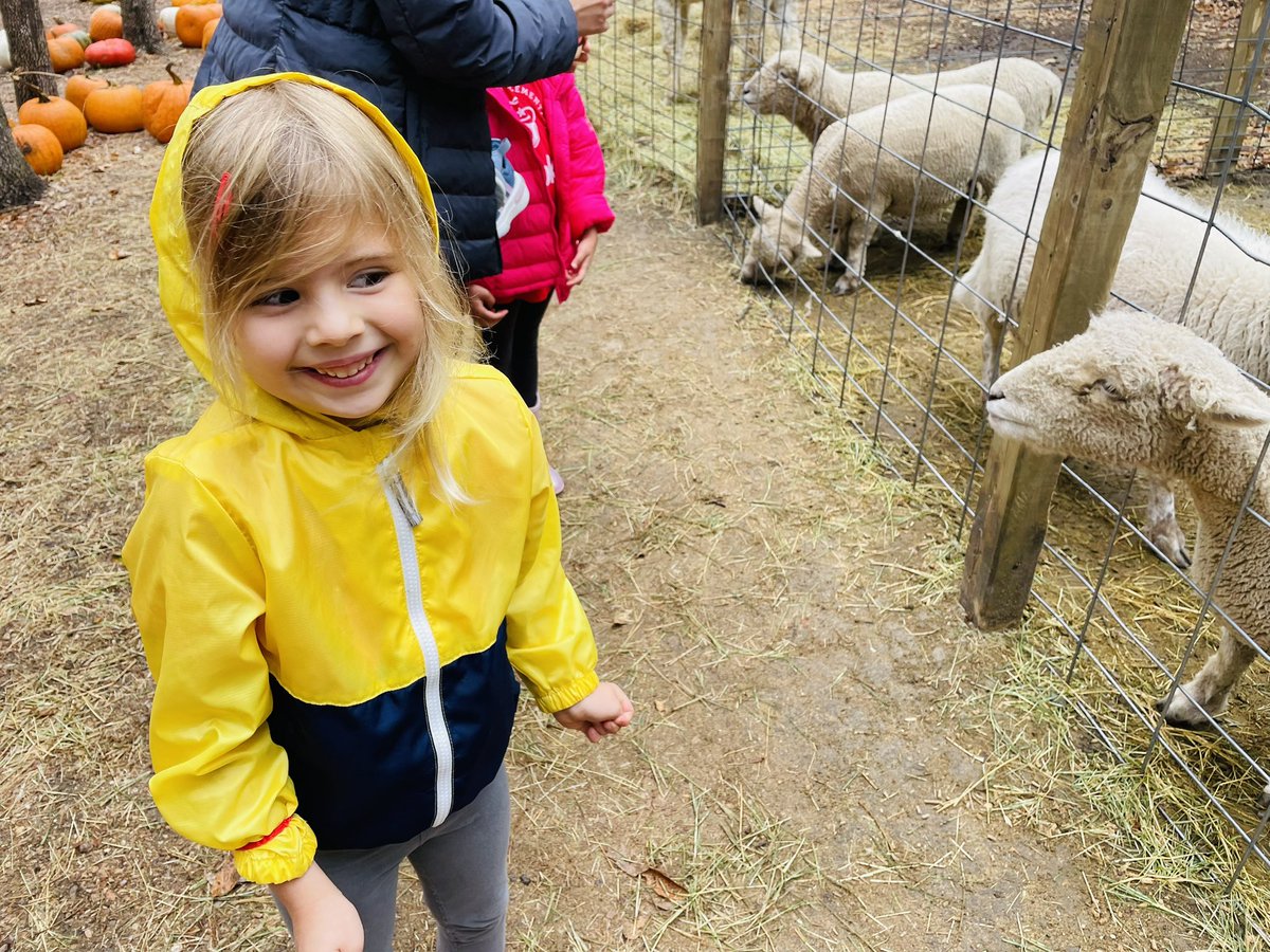 Danielle Denard tweet media