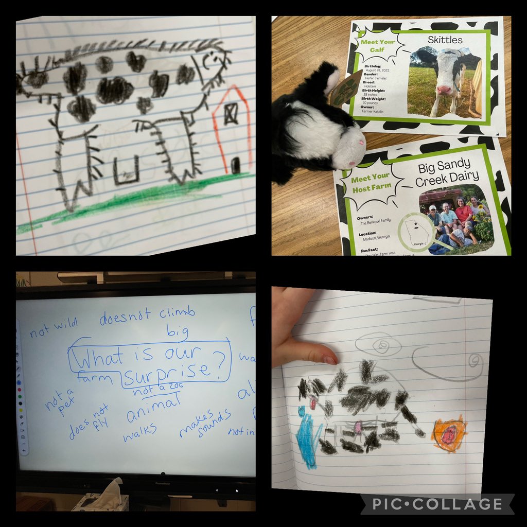 Megan Little Ed. S. -1st grade Husky tweet media