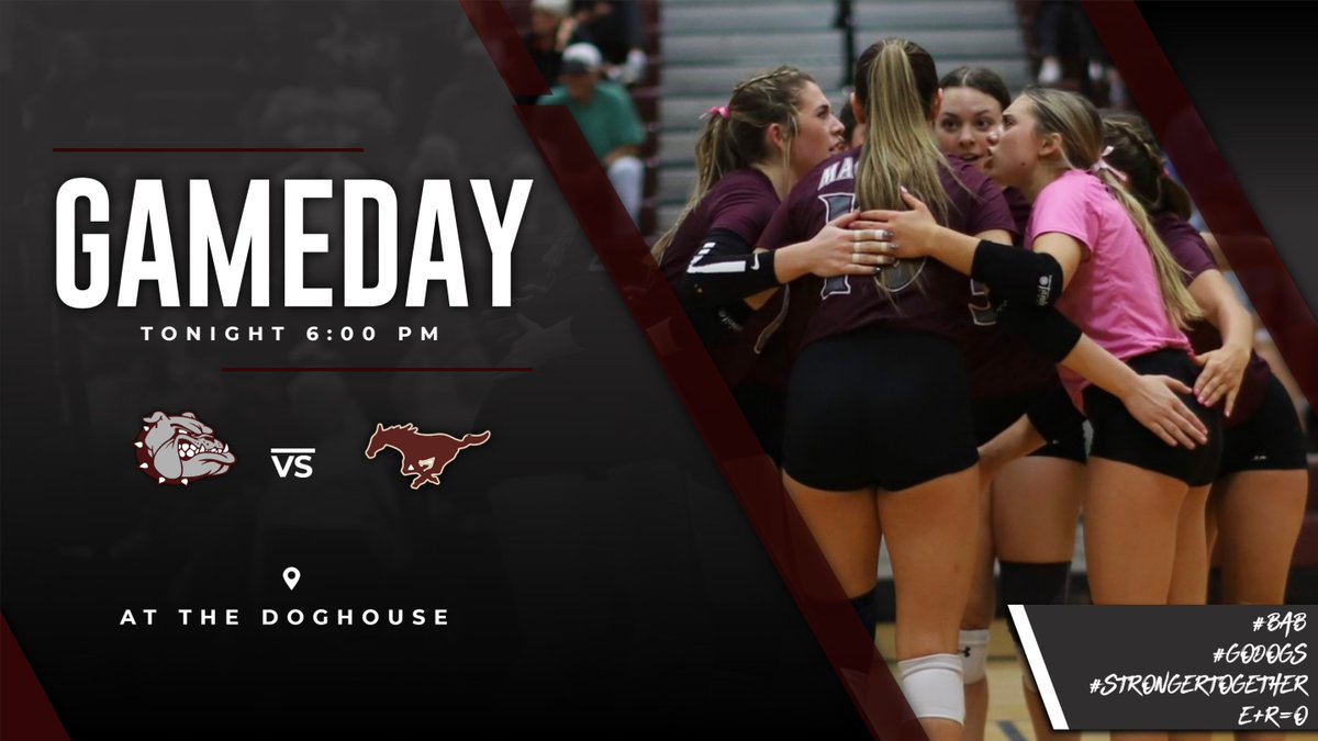 LET'S GOOOOO!!!! 🐾