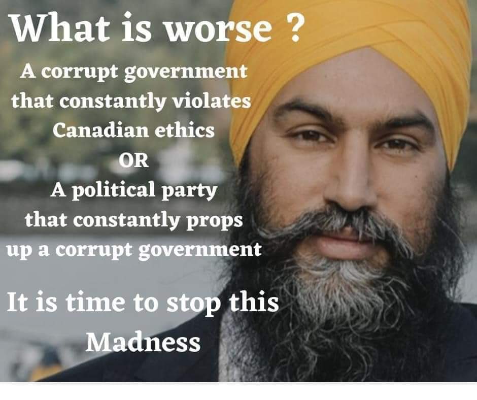 HillBilly_Baby's tweet image. And who do we have to thank for this mess? #LiberalPartyMustGo #NDPMustGo #TrudeauMustGo #SinghMustGo