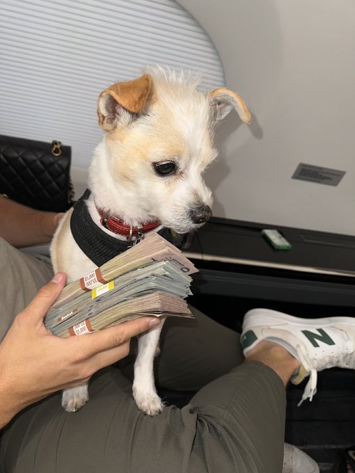 met this guy in vegas, big fan 💰 https://t.co/d9fcUpp4jp