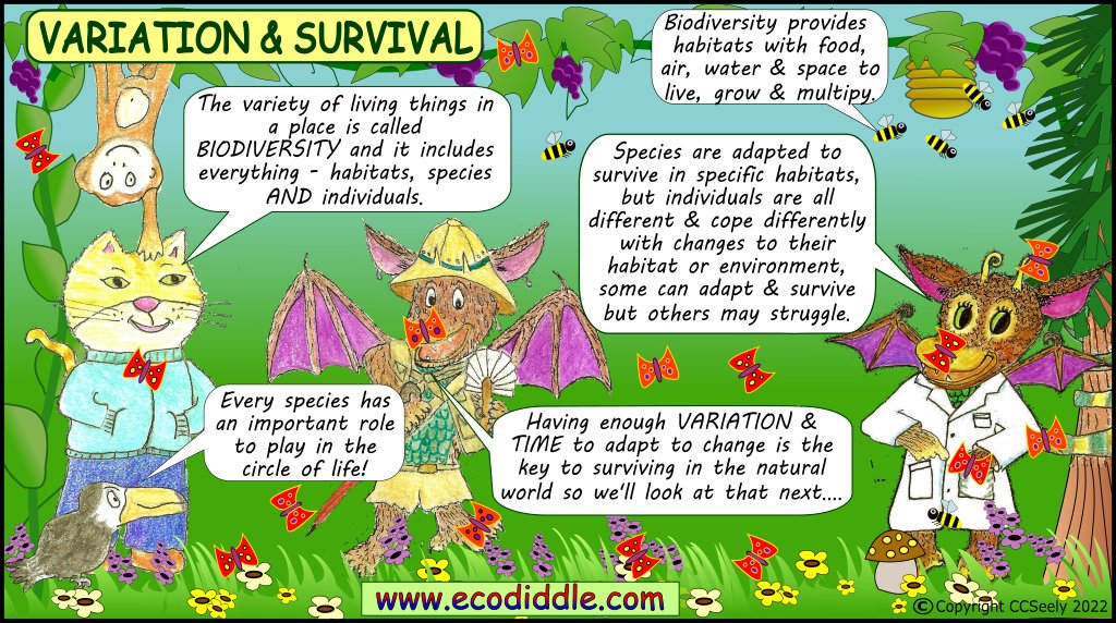 Ernest The Ecodiddle tweet media