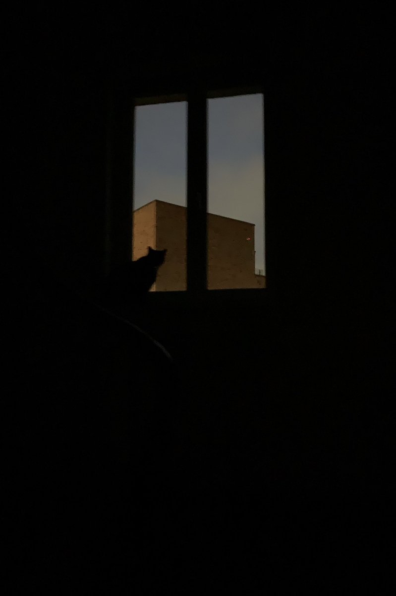 numanu107's tweet image. Goodnight my dears ✨with a snapshot from the hallway. An AI edited version and the original photo 
.
„White window“
.
#cat #window #hallway #photography #notminted #ai #remixed #with @wonderAI3