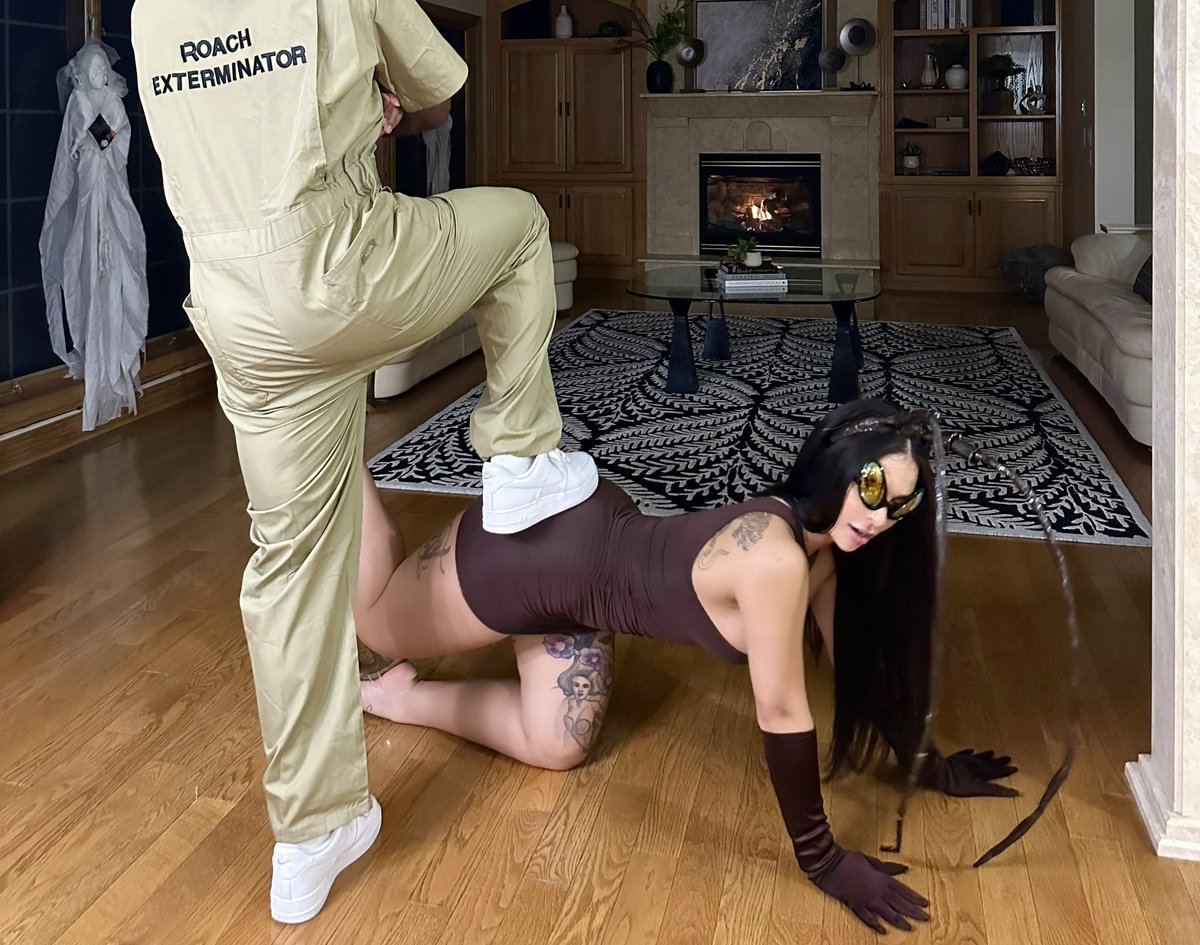 robhimsis's tweet image. 🪳🪳🪳🪳🪳🪳🪳🪳🪳🪳🪳