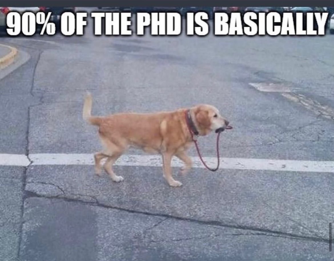 PhD Humour (@phdhumour) on Twitter photo 