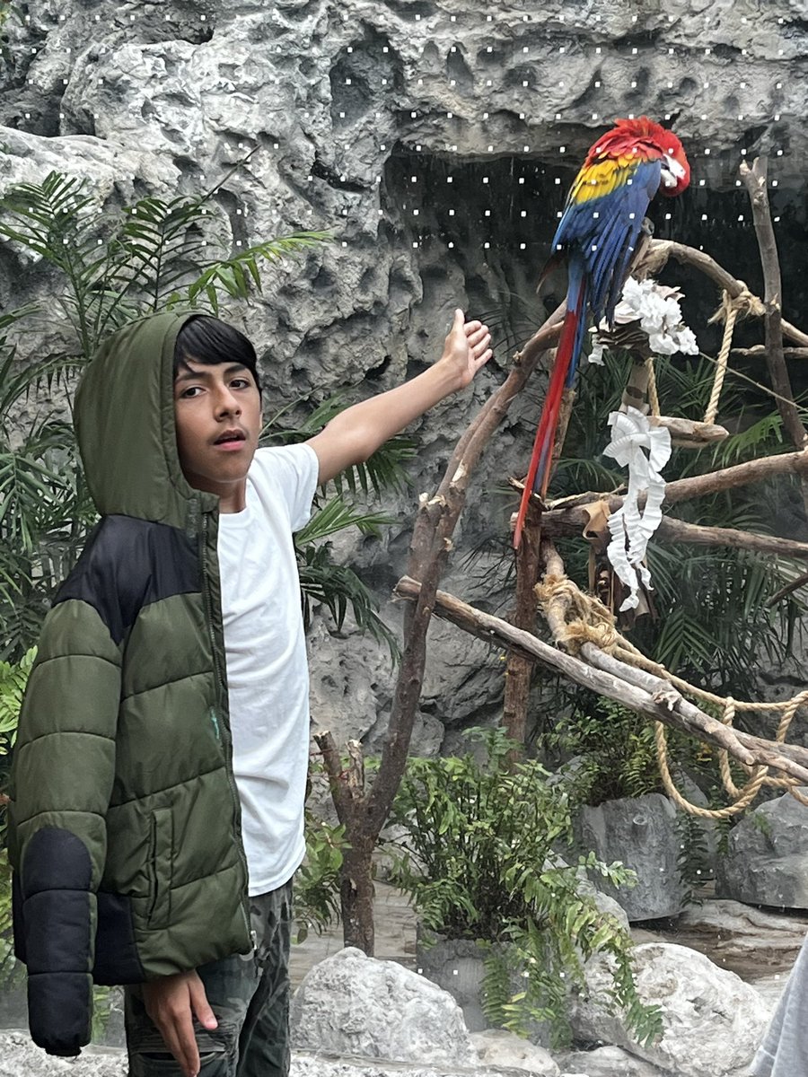 Cole’s AVID students enjoying a day of aquatic adventure at the Texas State Aquarium. Great information on starfish survival, how to pet a stingray and the rescue efforts of dolphins. Beautiful day to inspire beautiful minds!