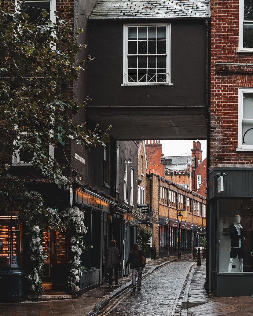 Old World Explorer tweet media