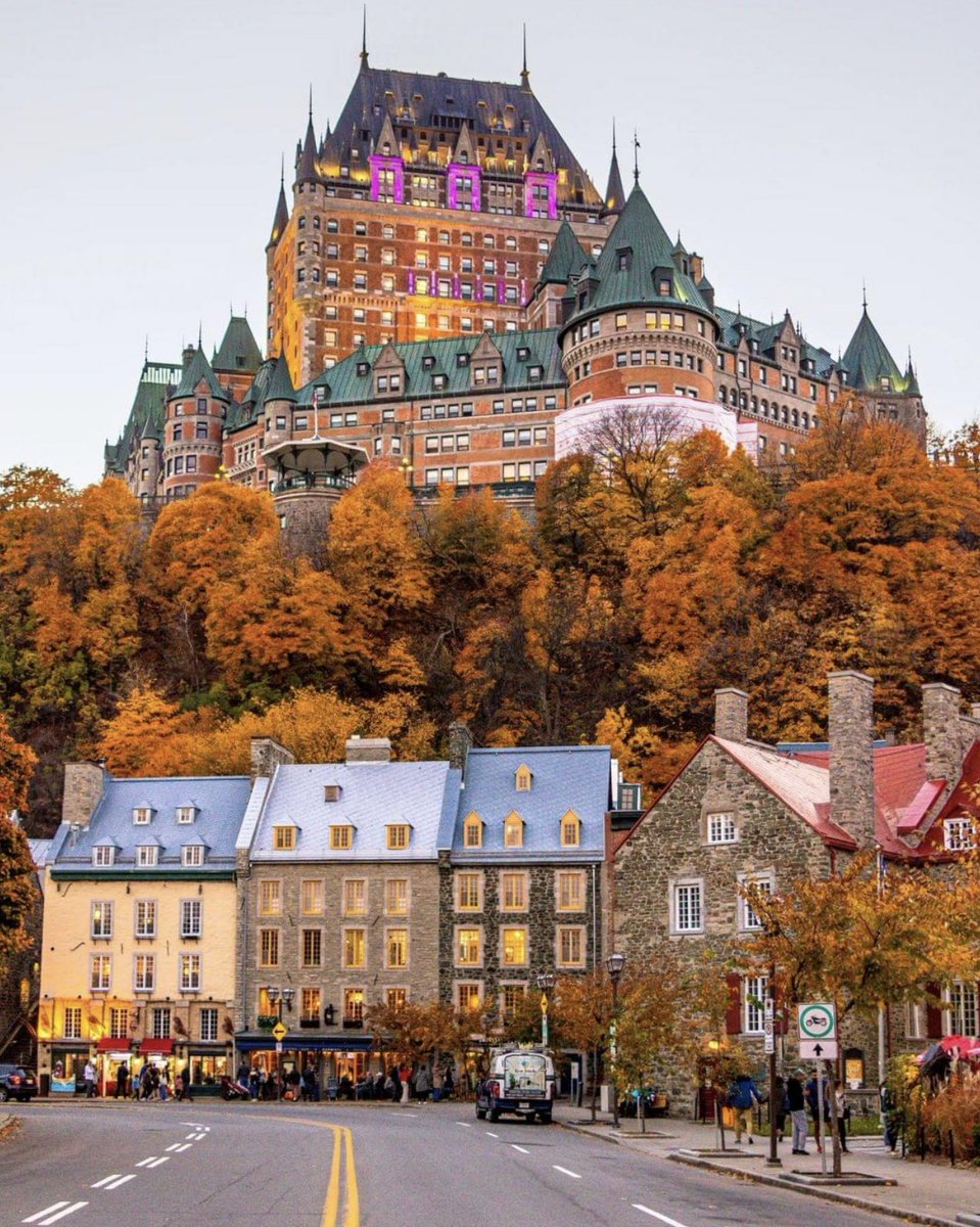 Made In Canada tweet media