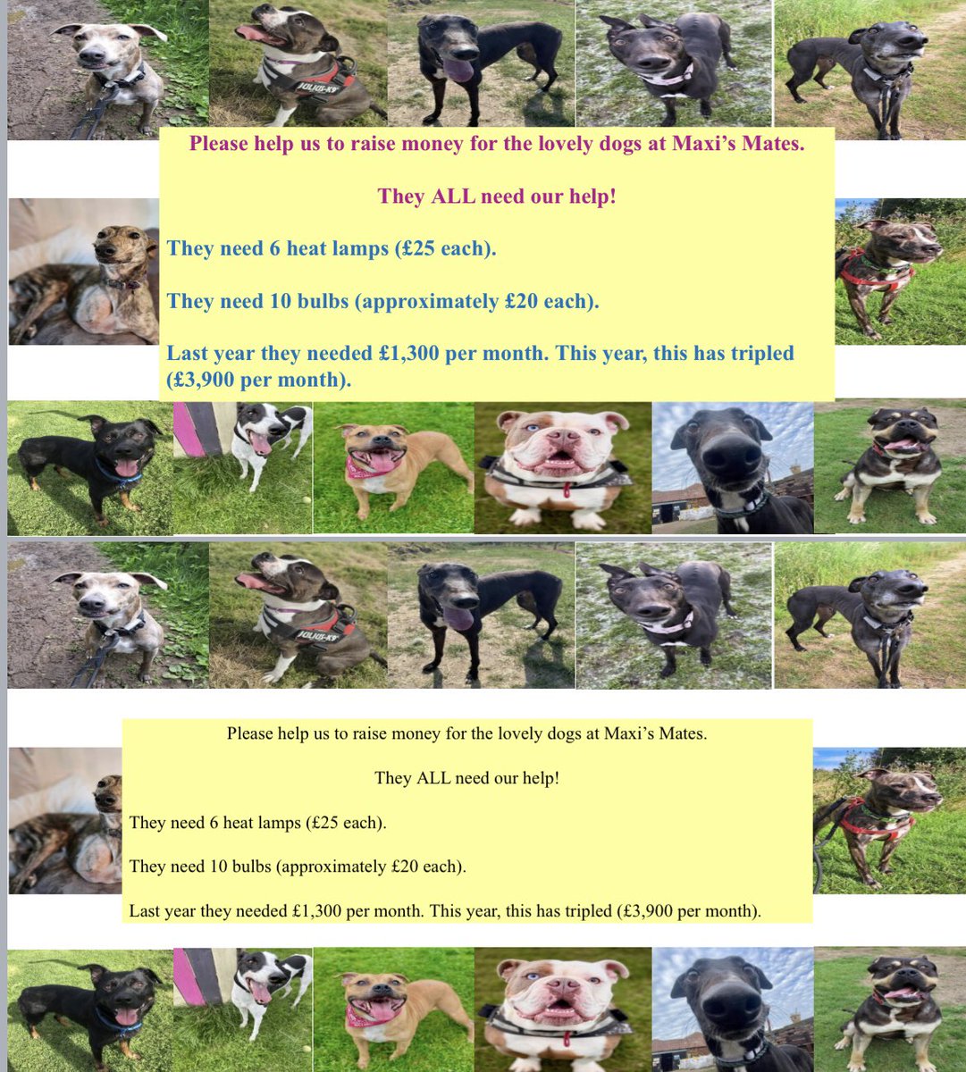InvestedEdu's tweet photo. • Support •

One of our pupils feels very passionate about supporting a local dog rescue and rehoming centre, Maxis Mates. 

He has spent time today creating a poster to advertise the support needed and created a collection box to try and raise cash.

🐕 🐶 🐩 

@maxismates https://t.co/AbEW0Lq7bg