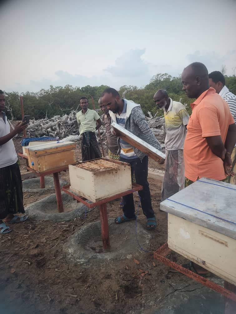 c_obock's tweet photo. Projet du développement d’apiculture se déroulent comme prévu sur les sites khor-angar et Godoria.
Bientôt, deux autres sites Allaîli-dada et Medeho seront aussi opérationnels.
C'est l'un des projets prioritaires financés par le #programmeAdil mis en œuvre par @EFaDjibouti . https://t.co/rZXP36GjPX