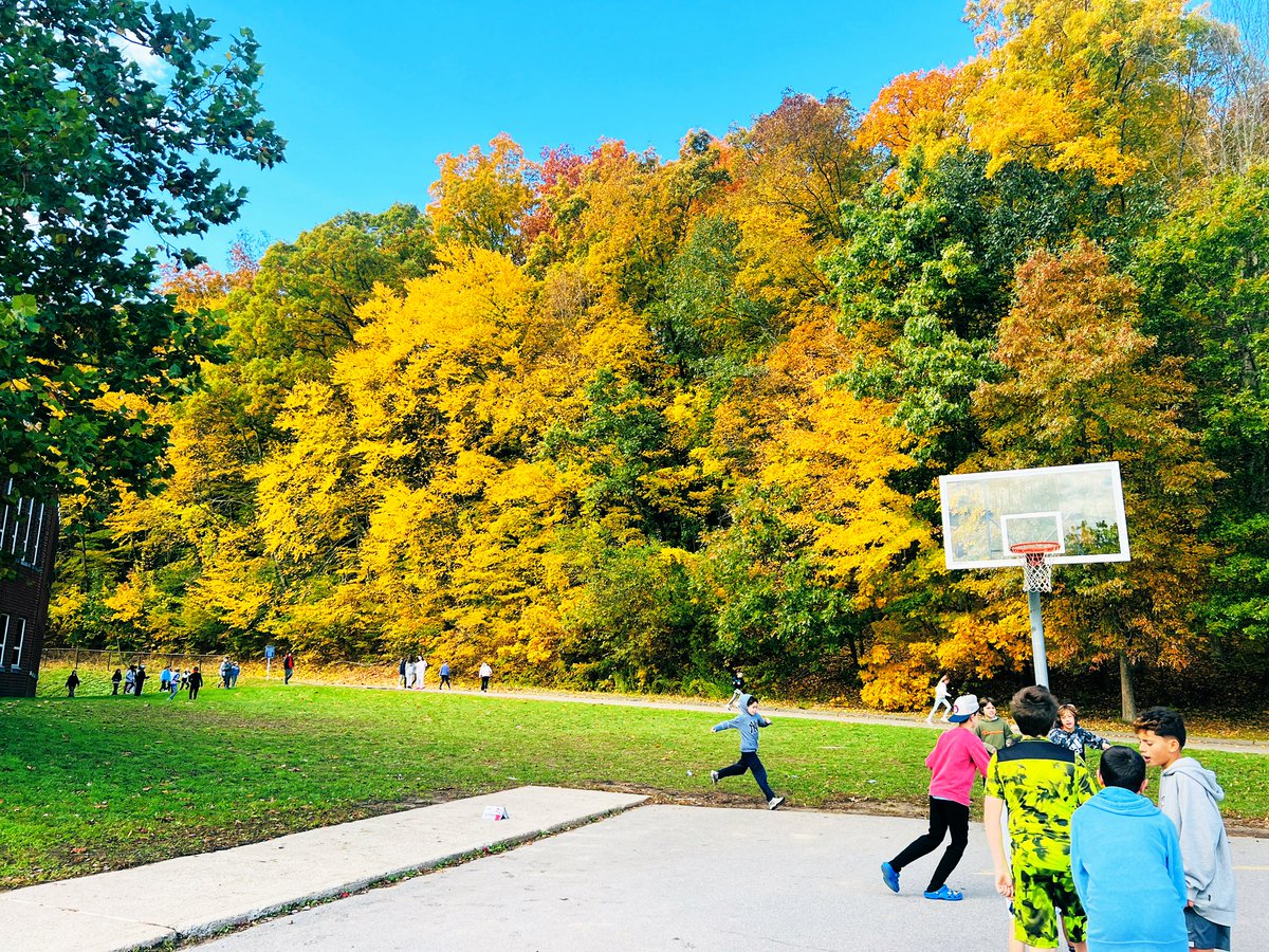 Fall recess views!  #nottooshabby #cidermillway #wiltonwayct <a href="/WPSCMSocial/">CM Live</a>