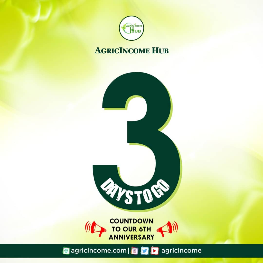 agricincome's tweet image. Join us in celebrating 6 incredible years of growth, innovation, and dedication to the agriculture community
We couldn't have made it this far without YOU, our amazing community of farmers, agri-enthusiasts, and readers.
 #agricincome #agricincome@6 #Agrimedia