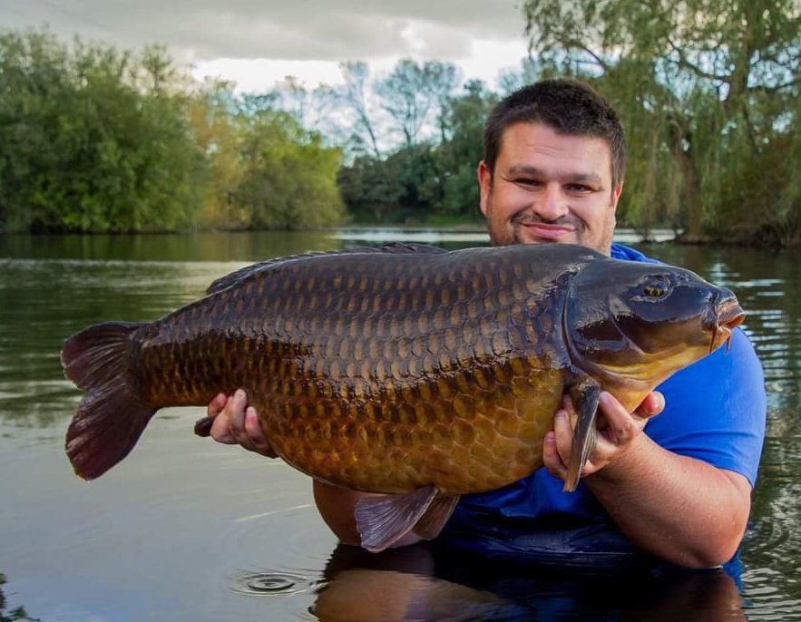 Daniel Daneshi managed this stunning common last week weighing 37lbs 8oz from Farlows lake 1. Dan used Quads as his hook bait and fed Spod&amp;PVA Pellet Mix and small amount of the New Test Bait along with sweetcorn to a nice clear spot at short range. 

#mainlinebaits #carpfishing