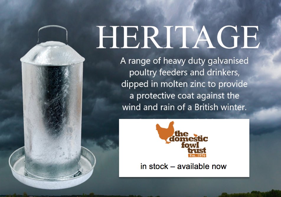 Domestic Fowl Trust (@domfowltrust) on Twitter photo 