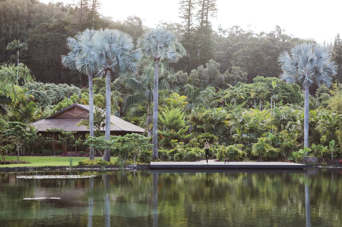 Photographed in Kōe' ele, Lāna'i at 8:03 AM