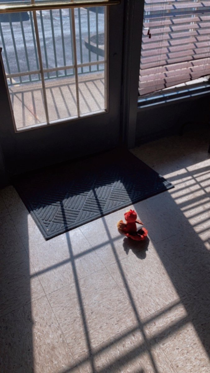 #BPVAturkey got some work done around the office today. Click the link in our bio to order your own turkey to post their own adventures!