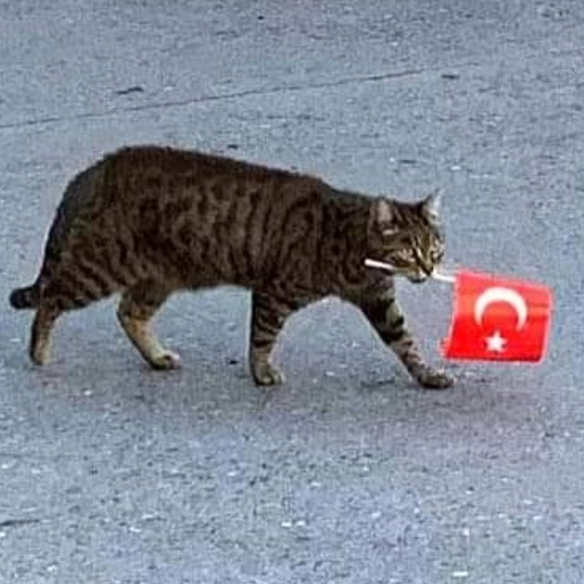 trulyyourstan's tweet photo. önümüzdeki hafta boyunca bn https://t.co/cXVMt8eaYF