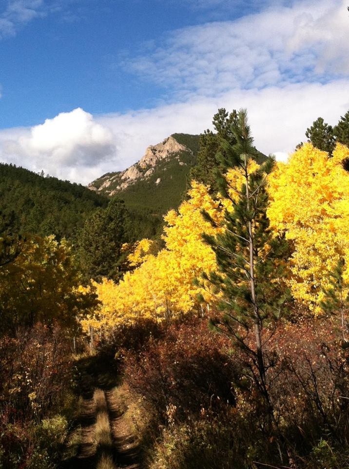 NEMTTOURISM's tweet image. Zortman in the fall is truly a sight.

📷 Steve Simanton

#MissouriRiverCountry #NortheastMontana #MoreRoomToRoam #TravelMontana #ExperienceMontana #406 #LastBestPlace #BigSkyCountry #MontanaMoment #MontanaGram #OnlyInMontana #EasternMontana⁠