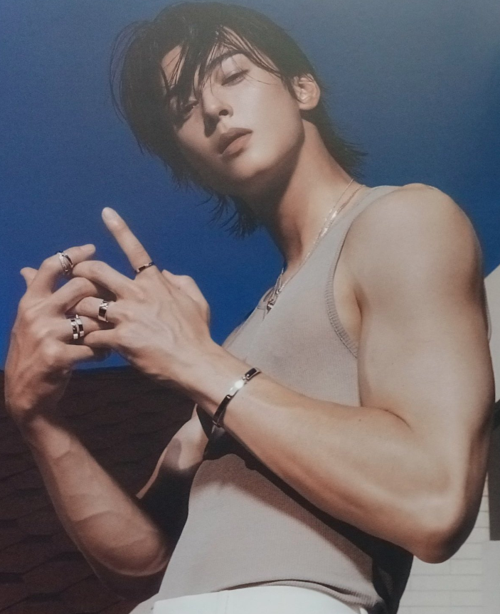 The Highlight tweet media