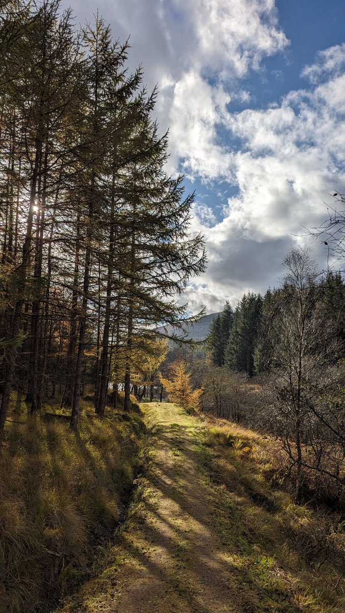 Happy place 🧘‍♂️