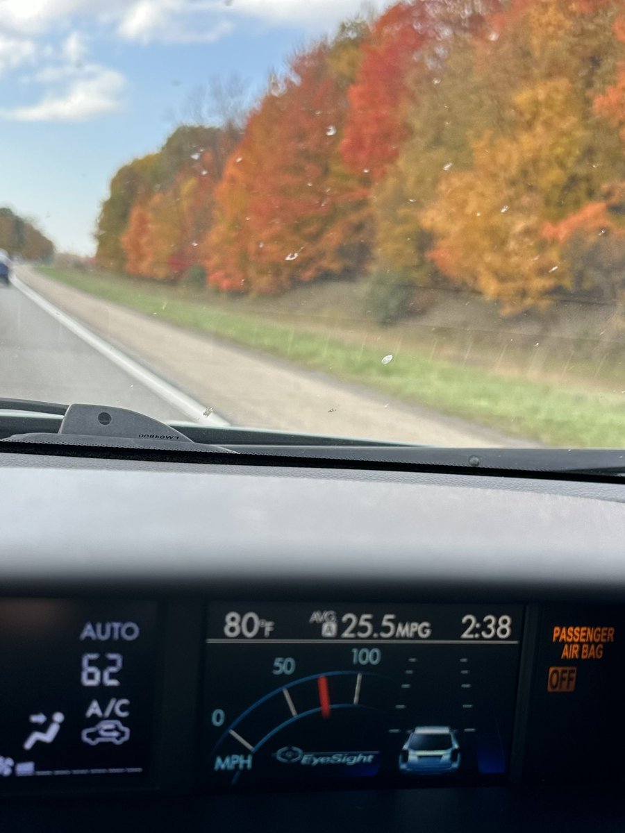 MikeCastellucci's tweet photo. DO NOT ADJUST YOUR SCREENS!
The thermometer says 80Β° in Michigan on October 24! Yes, the high in a week and then for the next seven months will be 40Β° if weβre lucky, but WOW! #soakingitin #articcanwait #michigan #weather https://t.co/z68IzMdrJ3