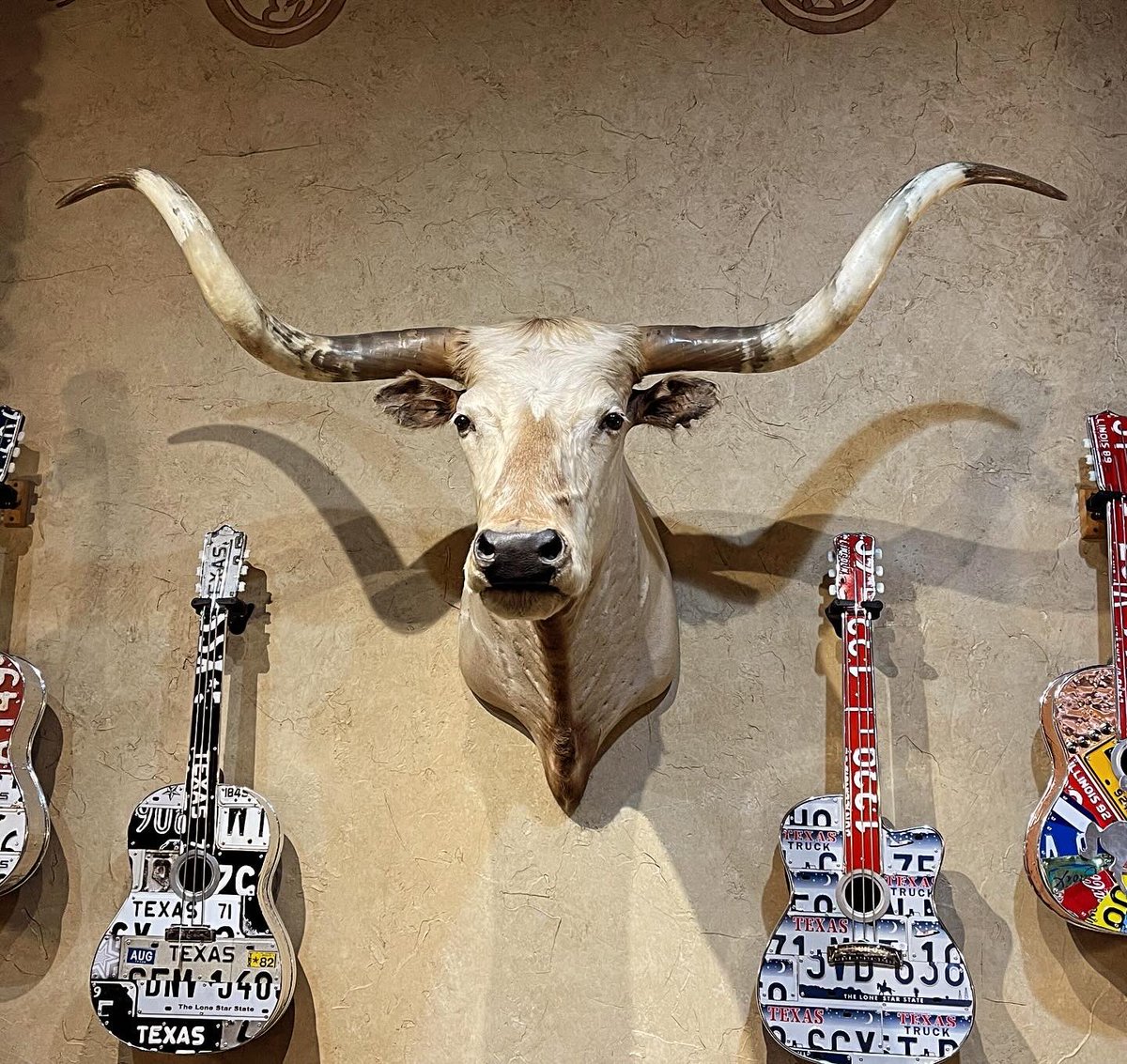 MacVetLtd's tweet image. Ready for the tour 😃🤠

#southfork #dallas #whoshotjr