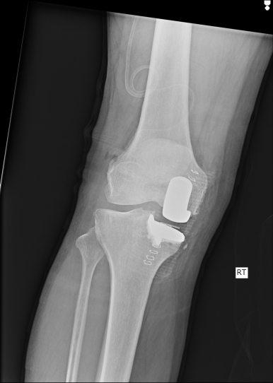 Very General Orthopaedist tweet media