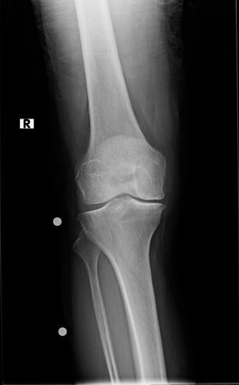 Very General Orthopaedist tweet media