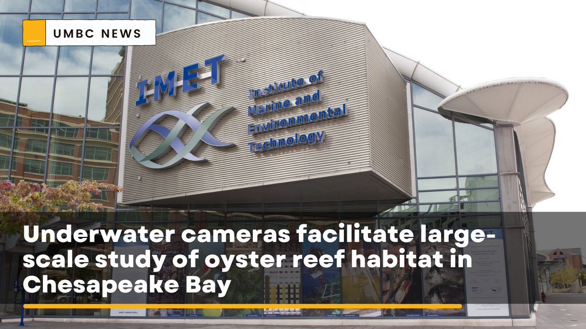 A new study assesses types of habitat provided by oyster reefs across 12 tributaries in the Chesapeake Bay. Researchers from UMBC; UMB; and the SERC used underwater cameras to collect images of reef structure. Read more: bit.ly/3ScNOO1