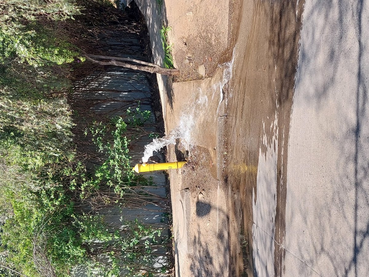 RichardArancib's tweet photo. @aguas_andinas @Santaspalabras @canal13 Calle Los almendros, calle los Peumos con los aromos, sector  Las Vertientes, San José de Maipo. https://t.co/aNbWyuxuDV