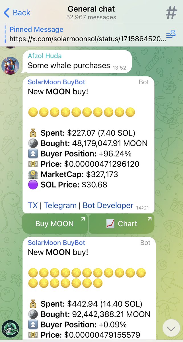 Solar.moon 🌖 tweet media
