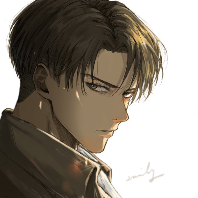 「levi (shingeki no kyojin)」Fan Art(Latest｜RT&Fav:50)