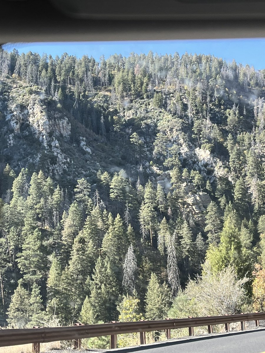 had a blast in Flagstaff from Sedona