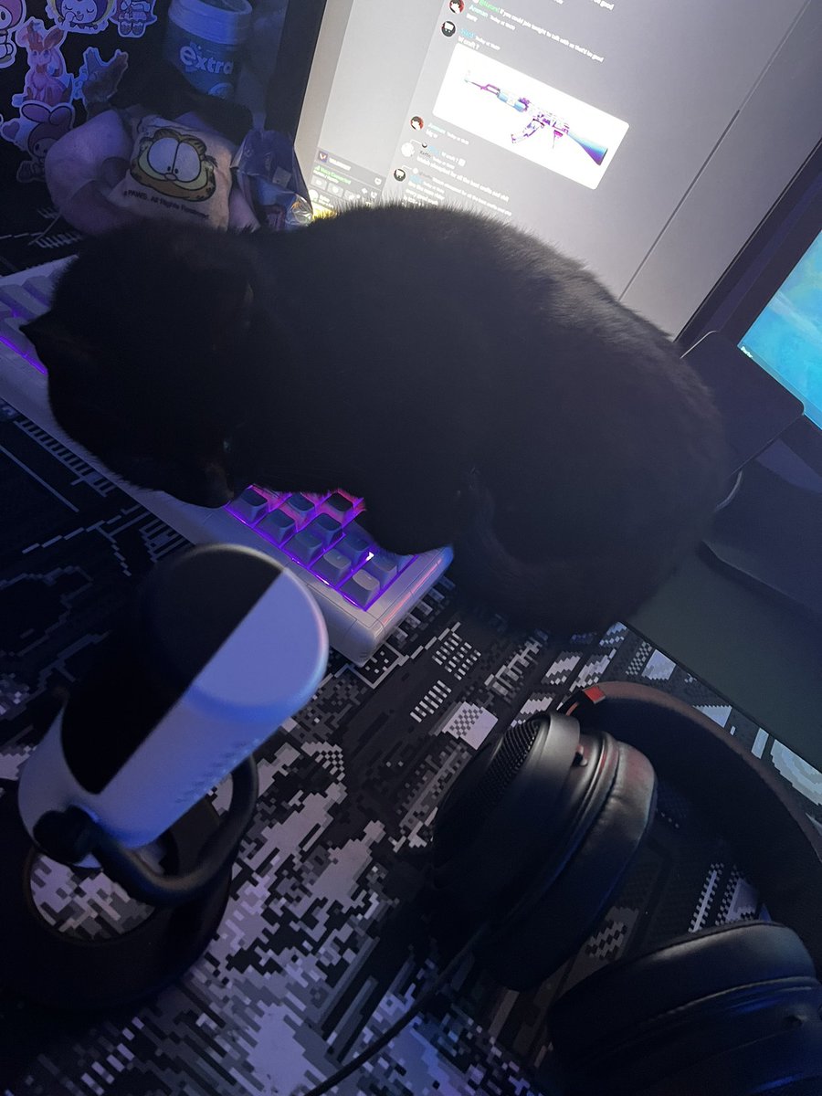 CTRL Sylve tweet media