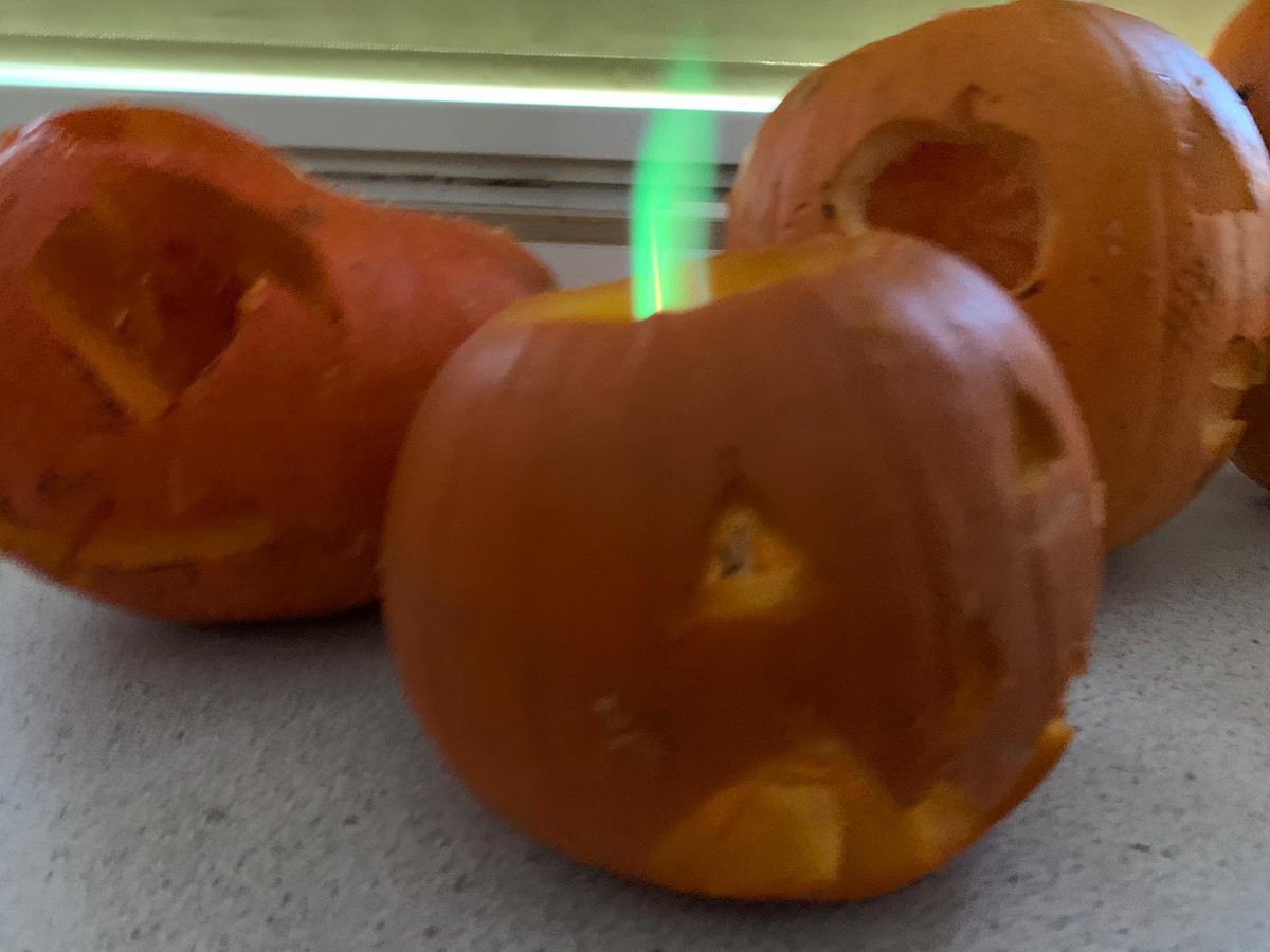 TGAS_Science's tweet image. The very popular Science Club had a Halloween theme this week. Pumpkin lanterns with a bit of colour.  🎃 🟩🟨